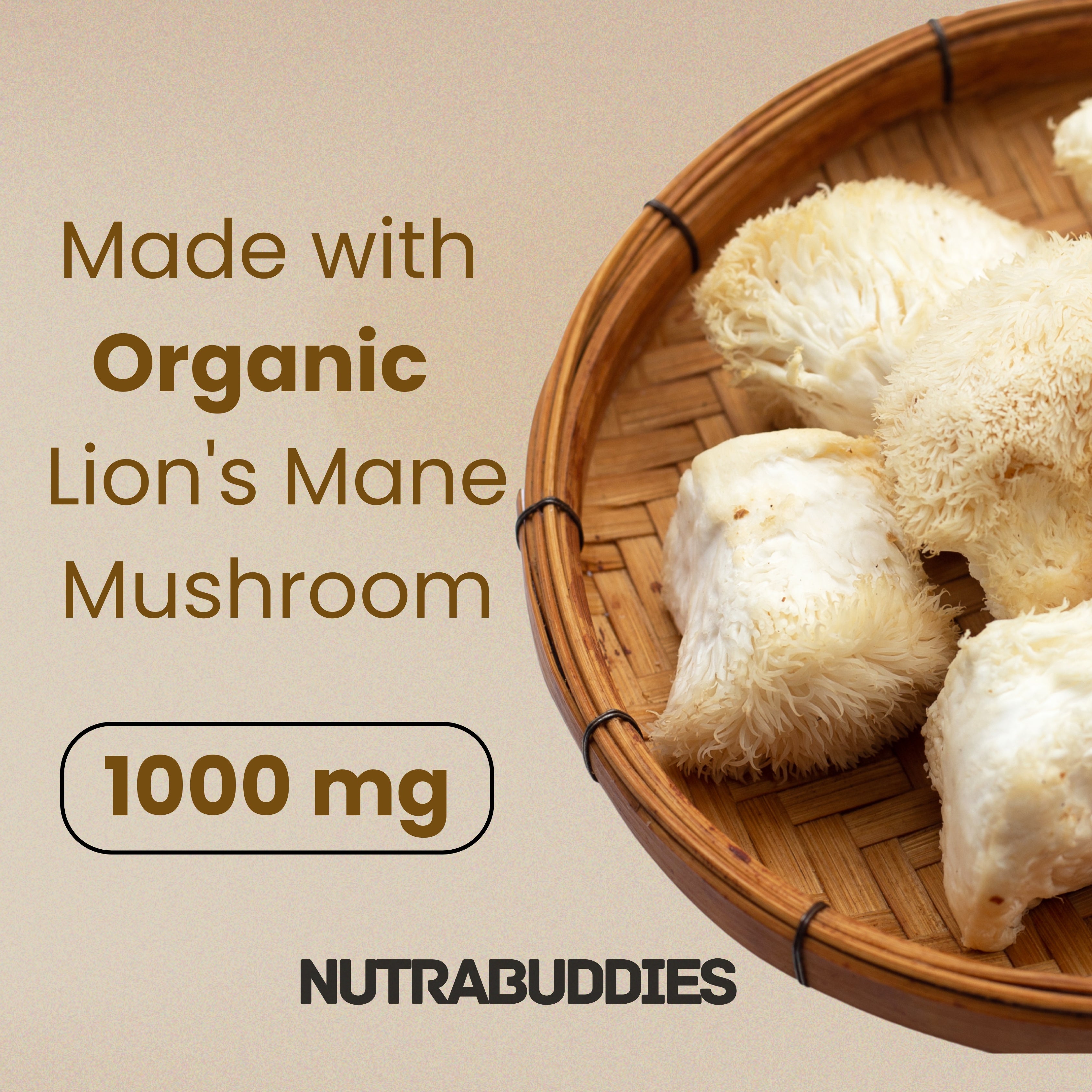 Lion's Mane Mushroom